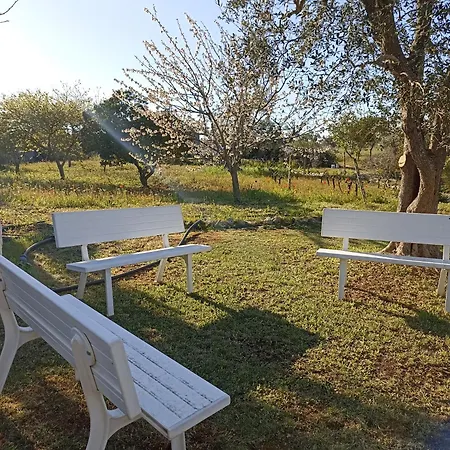 La Casa Degli Artisti Ostuni