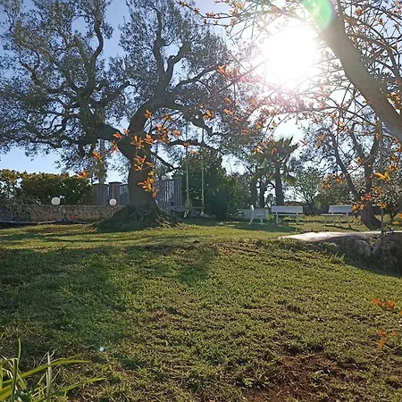 Bed & Breakfast La Casa Degli Artisti Ostuni